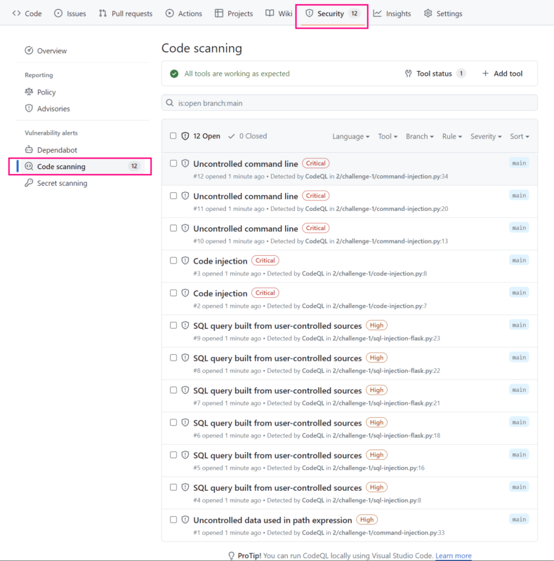 Codeql Scan Results